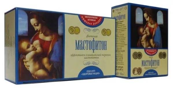 Полезные свойства и особенности употребления чая мастофитон