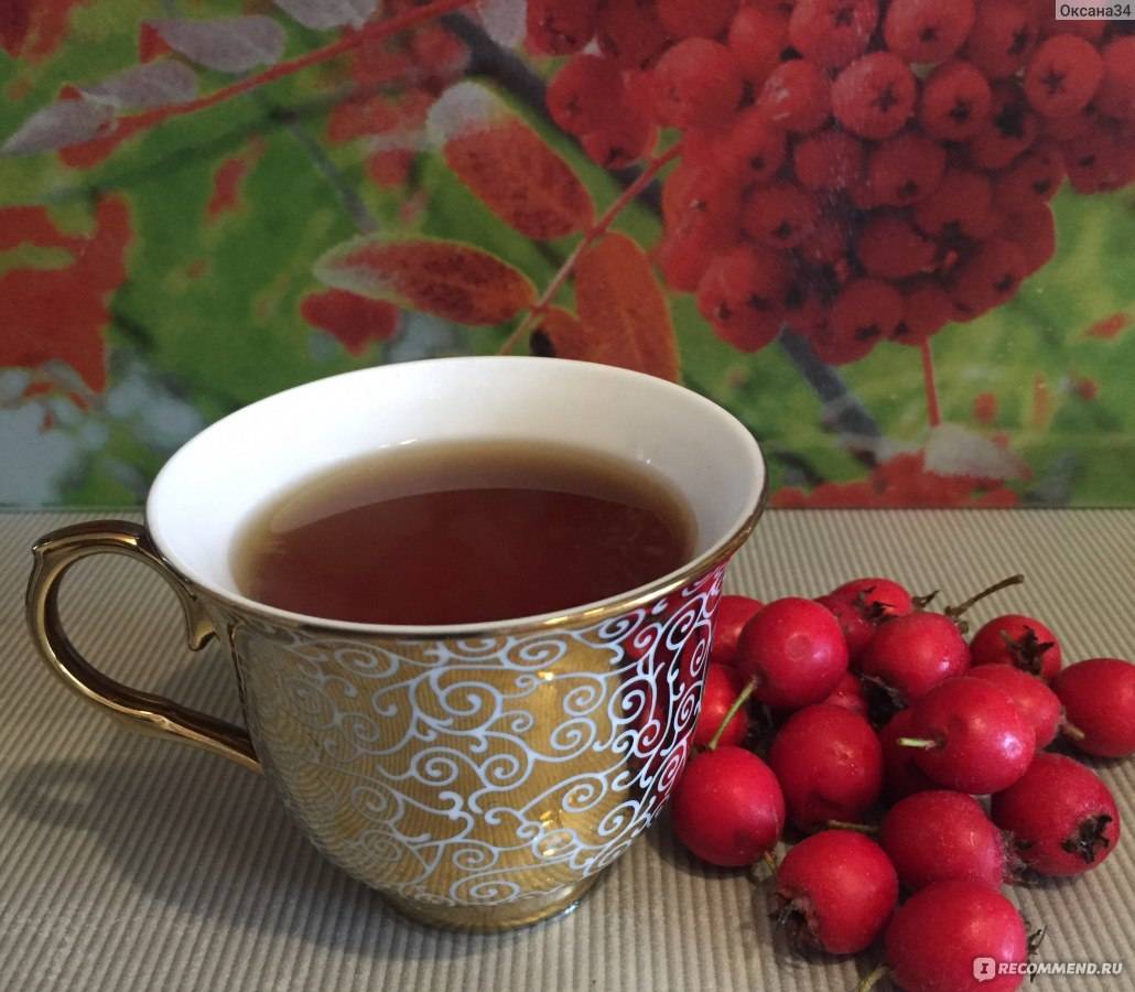 Чай с боярышником | польза и вред | рецепт | чайкофский