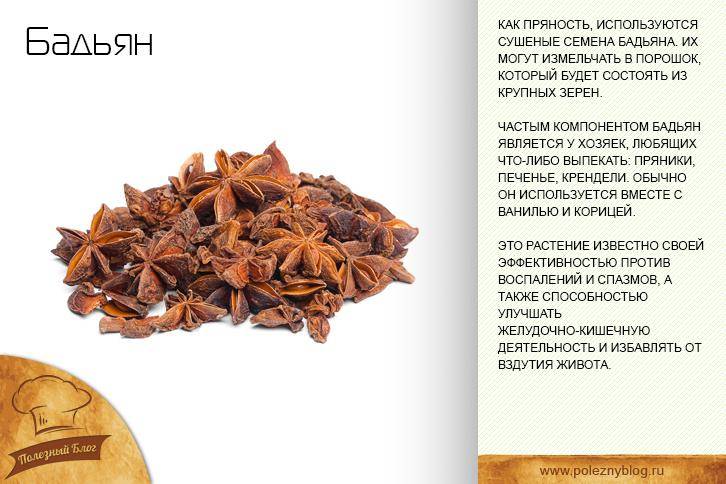 Анисовый чай — свойства и рецепты. приготовление анисового чая и отвара из семян анис польза и вред для мужчин