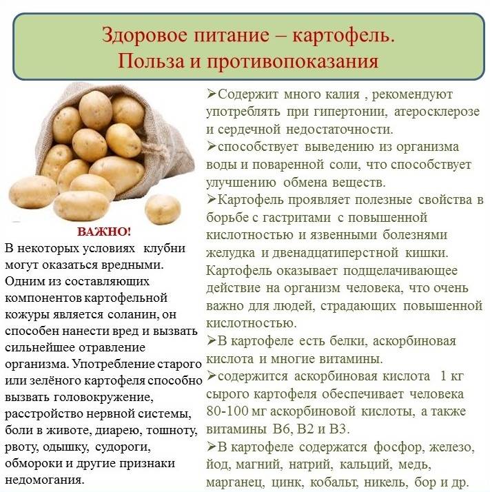 Картофельный отвар, как удобрение для рассады: польза и применение