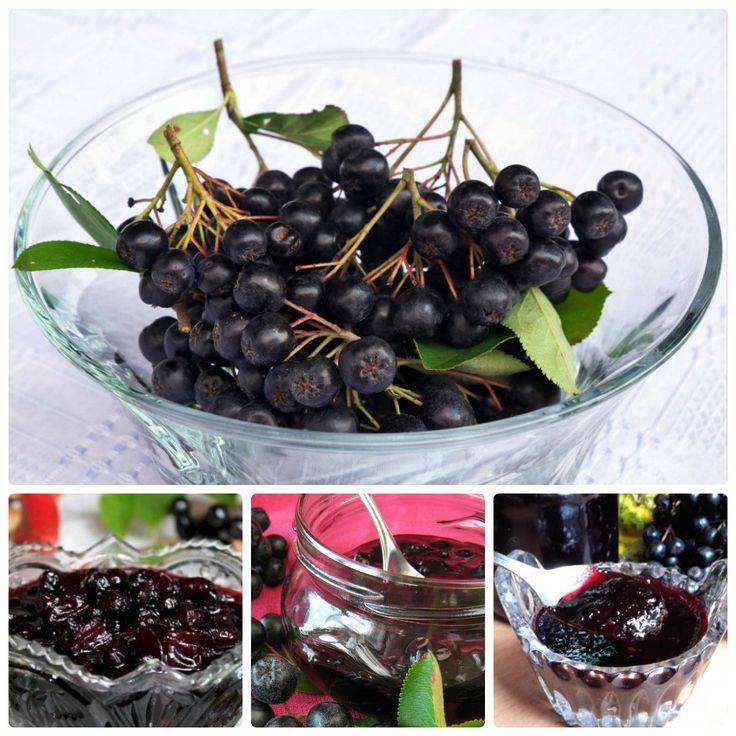 Компот из черноплодной рябины: рецепты простых и полезных заготовок