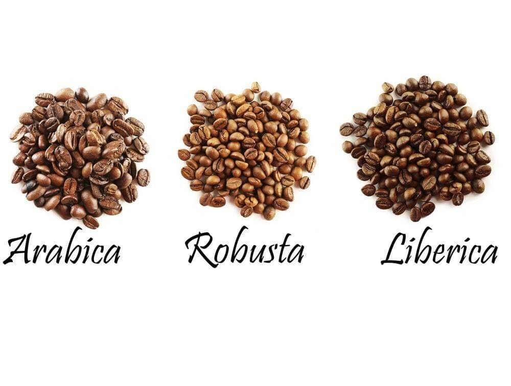 Какие 3 вида кофе используются во всём мире?