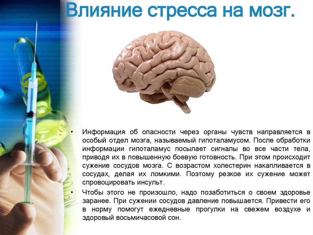 Никотин улучшает память и помогает восстанавливаться клеткам головного мозга