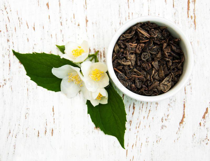 Как правильно собирать цветы жасмина для чая