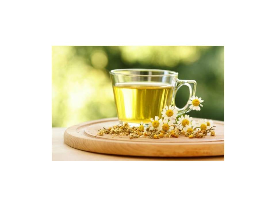Ромашковый чай: состав, калорийность, норма в день, польза и вред
