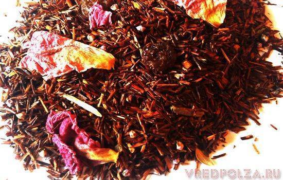 Чай ройбуш - полезные свойства и противопоказания, состав и способы заваривания