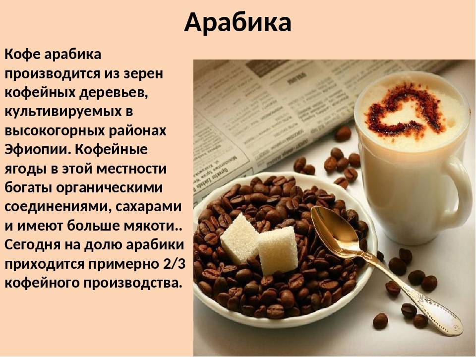 Интересные факты о кофе | все о кофе