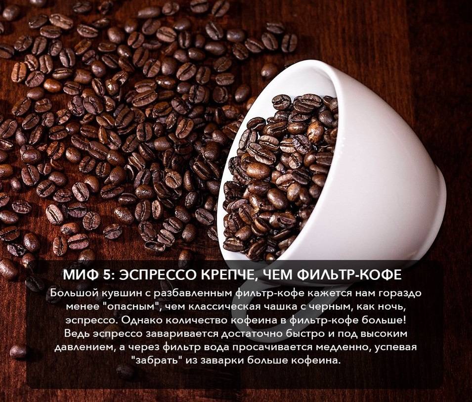 Это интересно! 15 удивительных фактов о кофе - omodejurnal