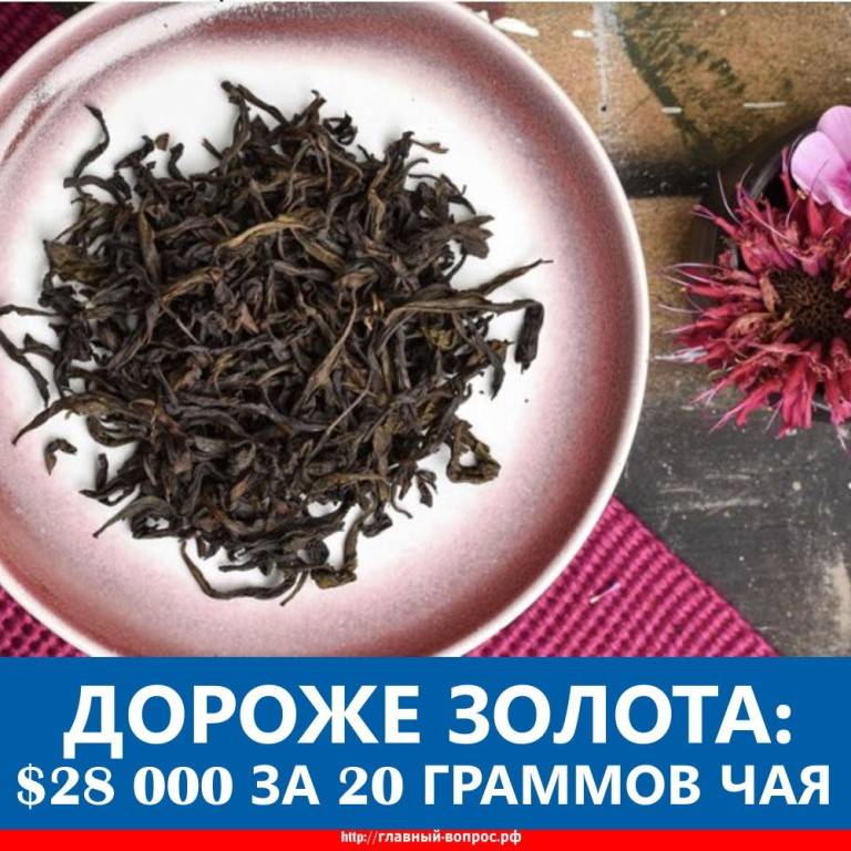 Самый дорогой чай в мире: описание, название, сорт, особенности :: businessman.ru