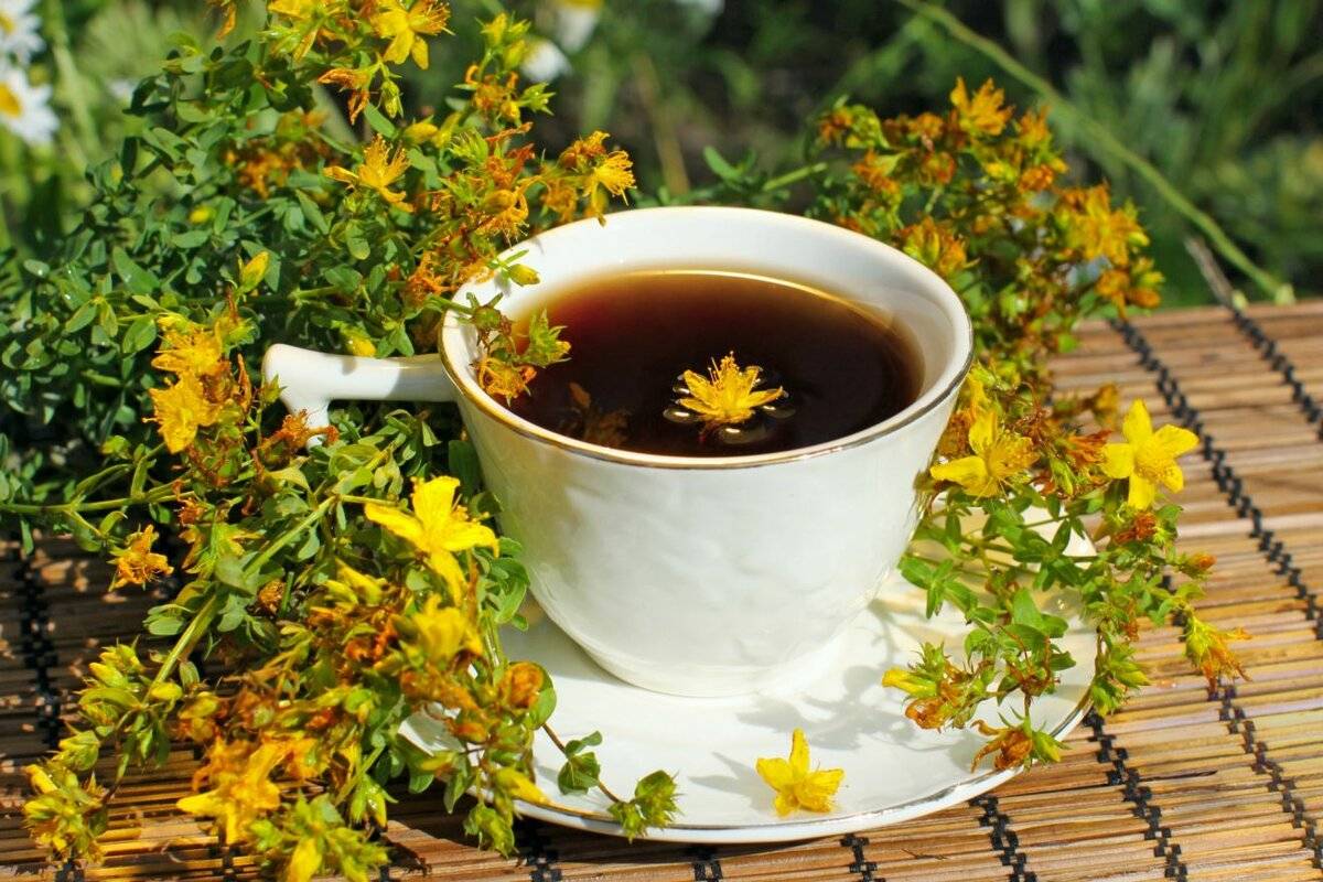 Чай сенча (сентя) – описание, польза и вред, как заваривать