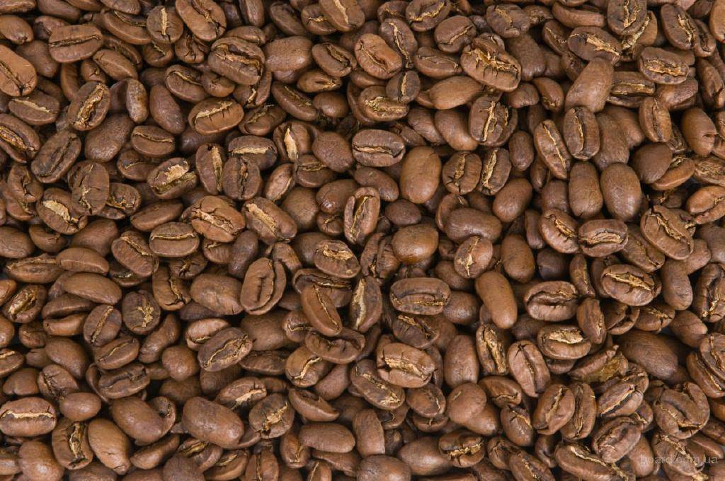 Знакомимся с арабикой: кофе марагоджип