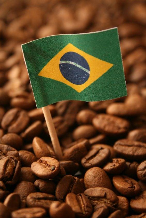 Родина кофе и кофейного дерева, история возникновения напитка, традиции и легенды