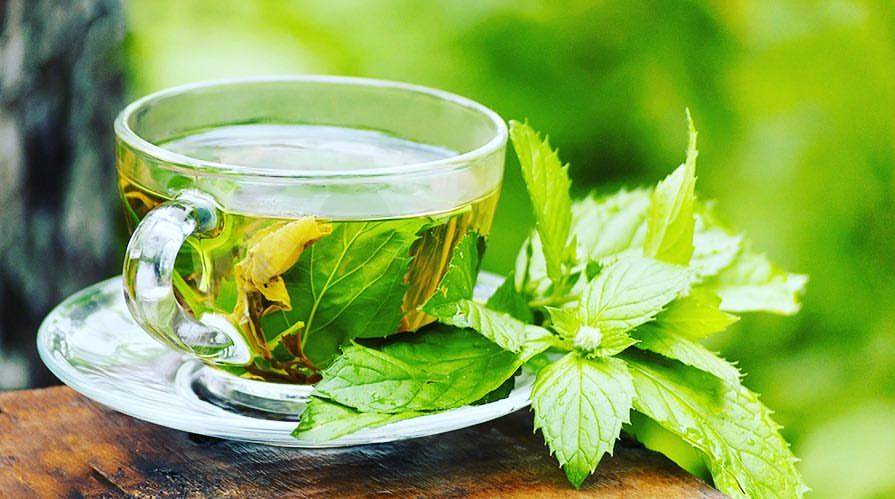 Чай из листьев смородины — польза и вред для здоровья