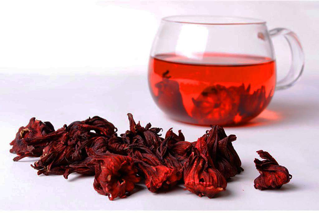 Чай гибискус: полезные свойства и возможные противопоказания