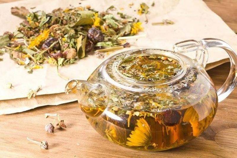 Чай от кашля: какой чай лечит и советы по приготовлению