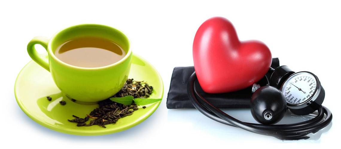 Зеленый чай понижает или повышает давление?