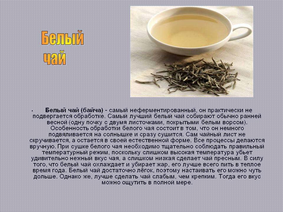 Белый чай???? польза и вред, свойства при заболеваниях, классические рецепты
