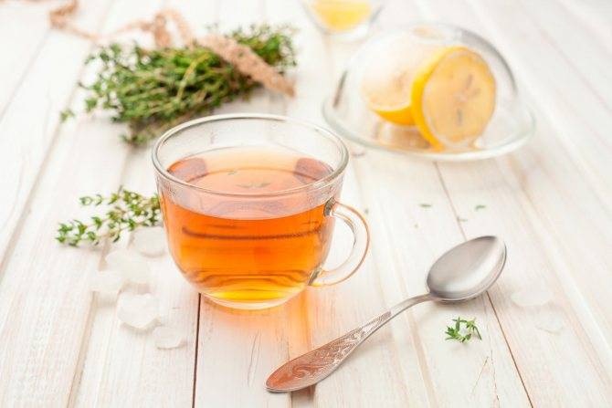 Чай с тимьяном: полезные свойства и рецепты приготовления напитка
