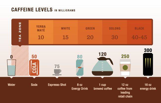 Кофеин и чай: сколько кофеина содержится в разных сортах чая?