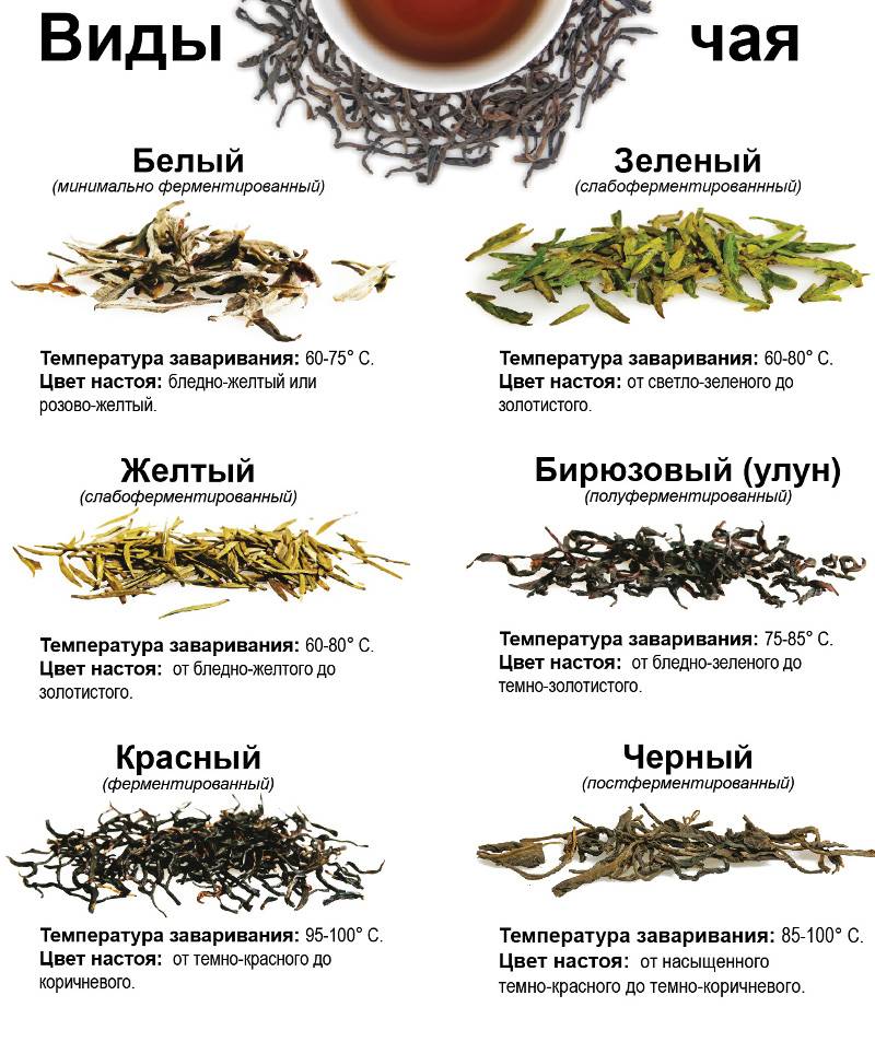 Какие полезные и вредные свойства у зелёного чая улун (оолонг)?