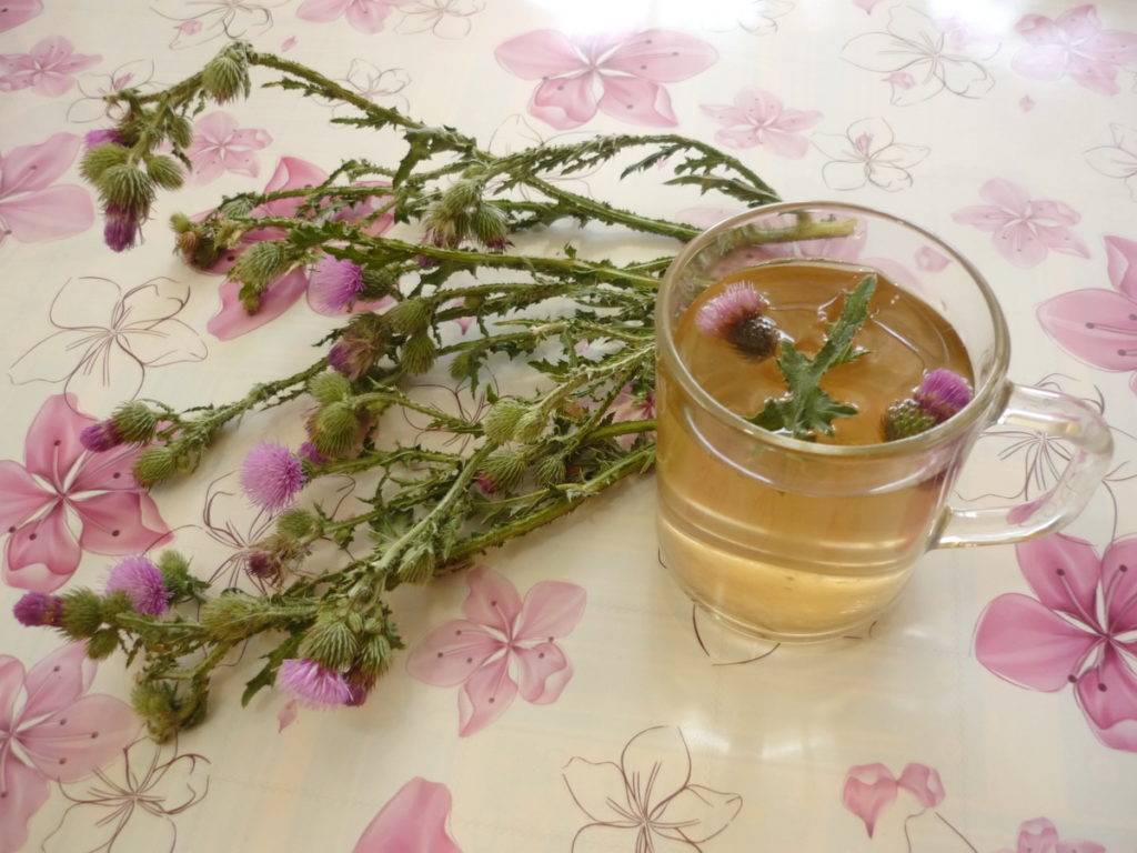 Чай с чабрецом — польза и вред, свойства и противопоказания