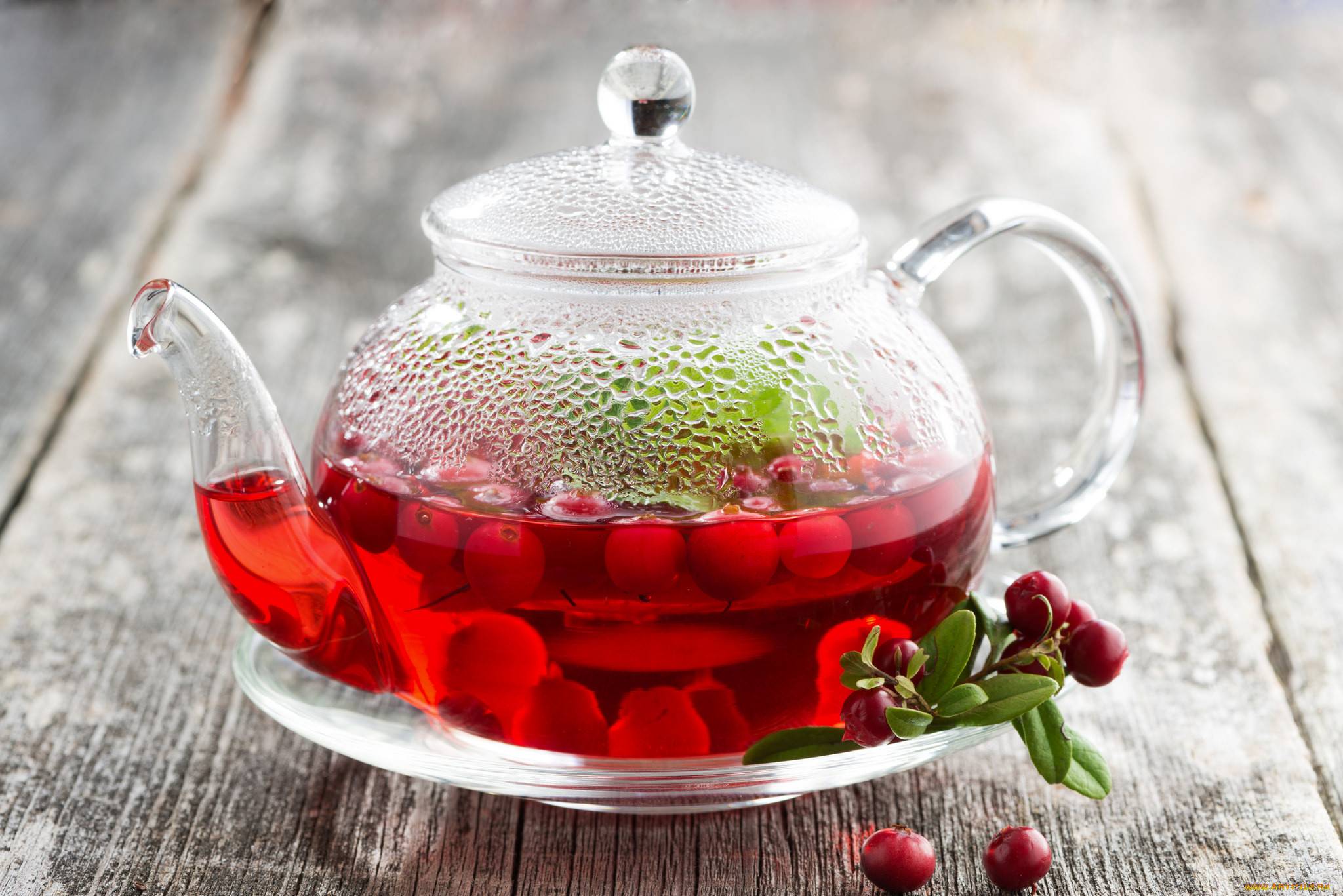 Брусничный чай, его польза, вред и рецепты приготовления