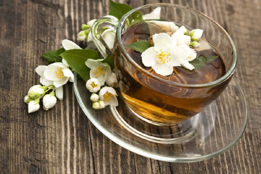 Польза и вред жасминового чая для здоровья. противопоказания