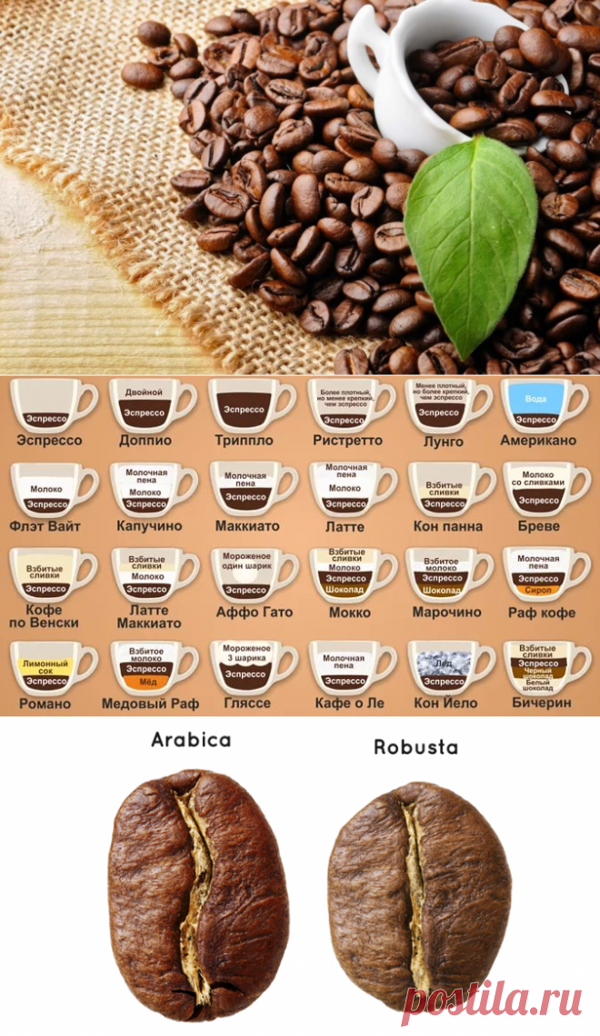 Лучшие сорта кофе в россии. Сорта кофе. Названия кофейных зерен. Сорта натурального кофе. Сорта кофе в зернах.