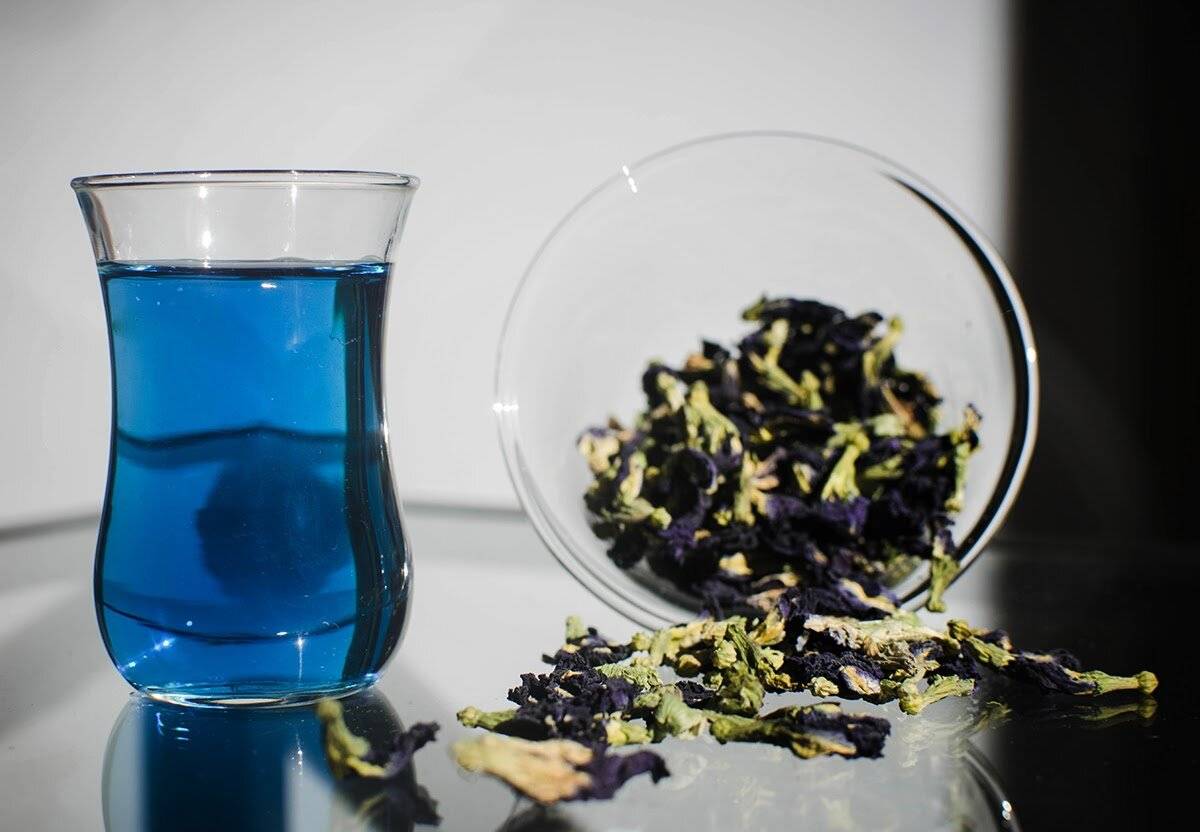 Синий чай из тайланда