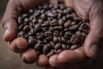 Как варить кофе в турке. 10 советов из собственного опыта – соседки
