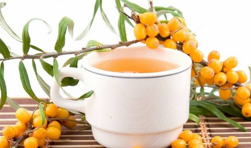 Чай из облепихи: полезные свойства и уникальные рецепты