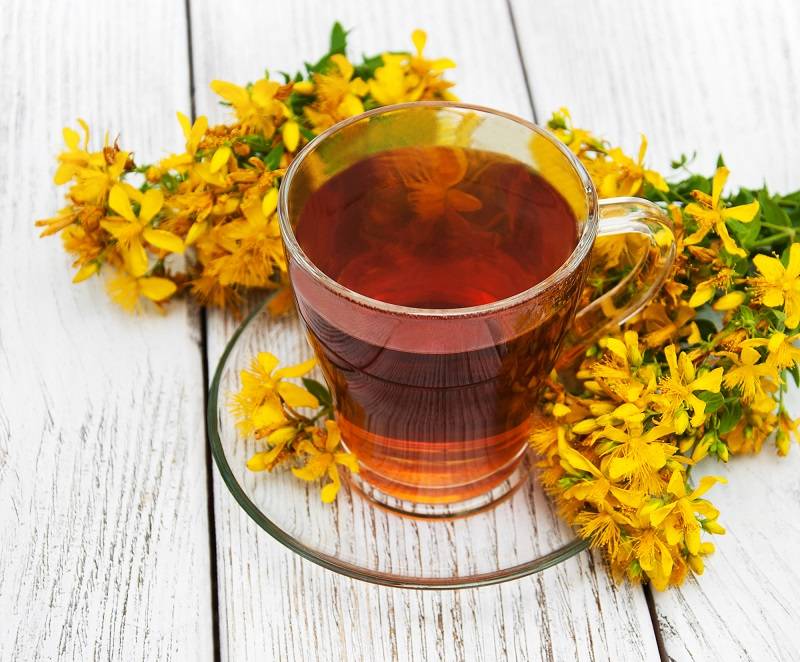 Зверобой с душицей лечебные свойства и противопоказания. полезные свойства травы зверобой для вашего организма. пей зверобойный чай – здоровье привечай!