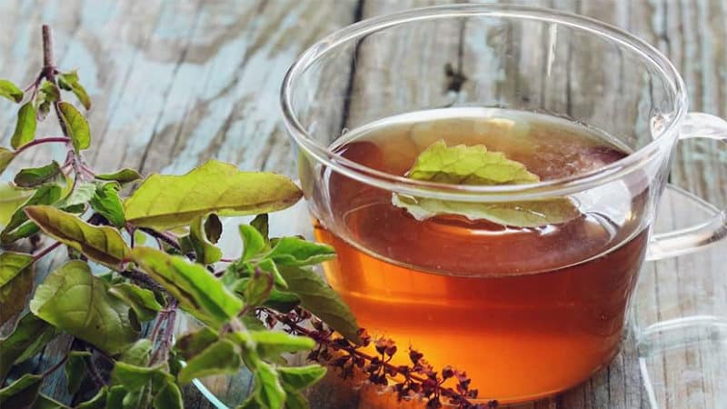 Чай с базиликом: 5 лучших рецепта для здоровья