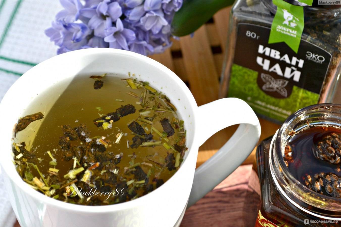 Чай с базиликом — чем полезен, и как заваривать правильно, рецепты вкусных напитков