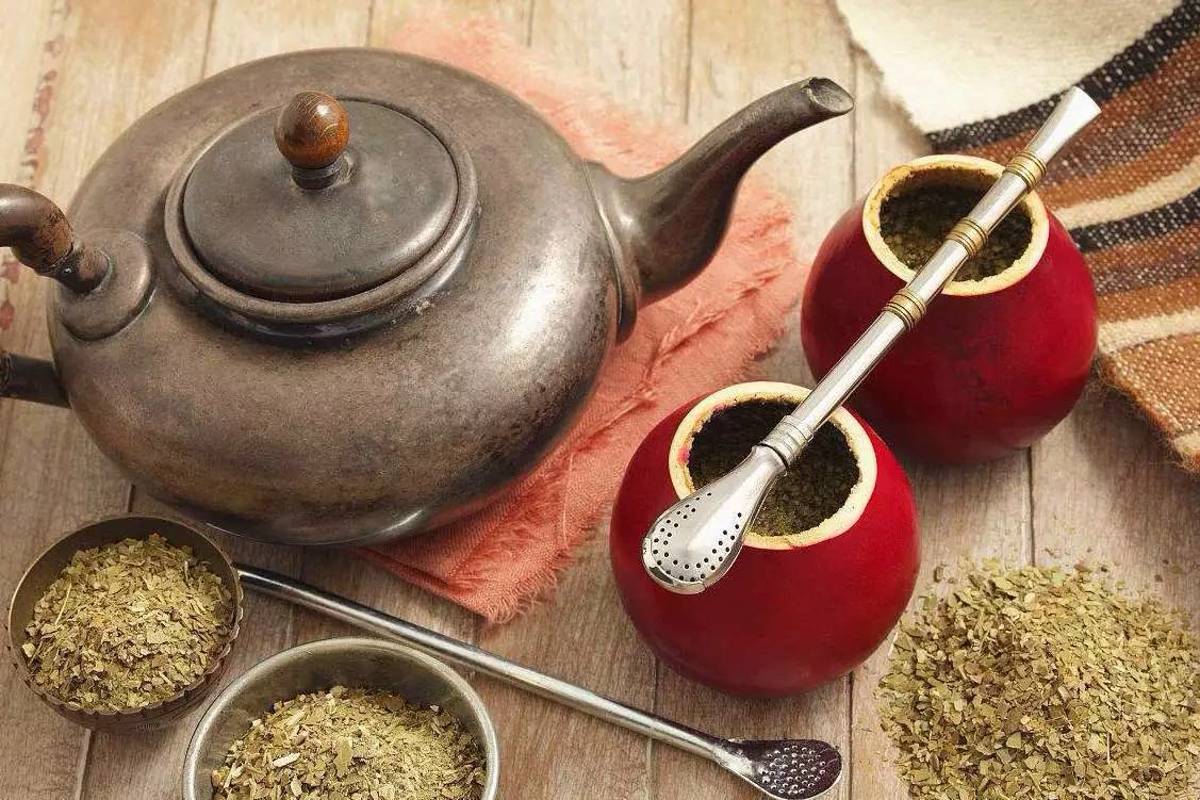 Чай матэ и его полезные свойства и противопоказания