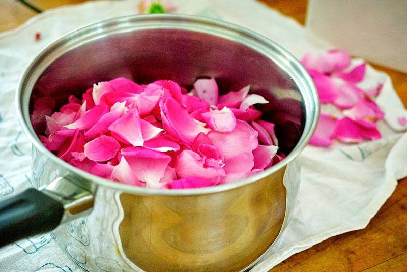 Чай из лепестков роз: польза, применение, как приготовить
