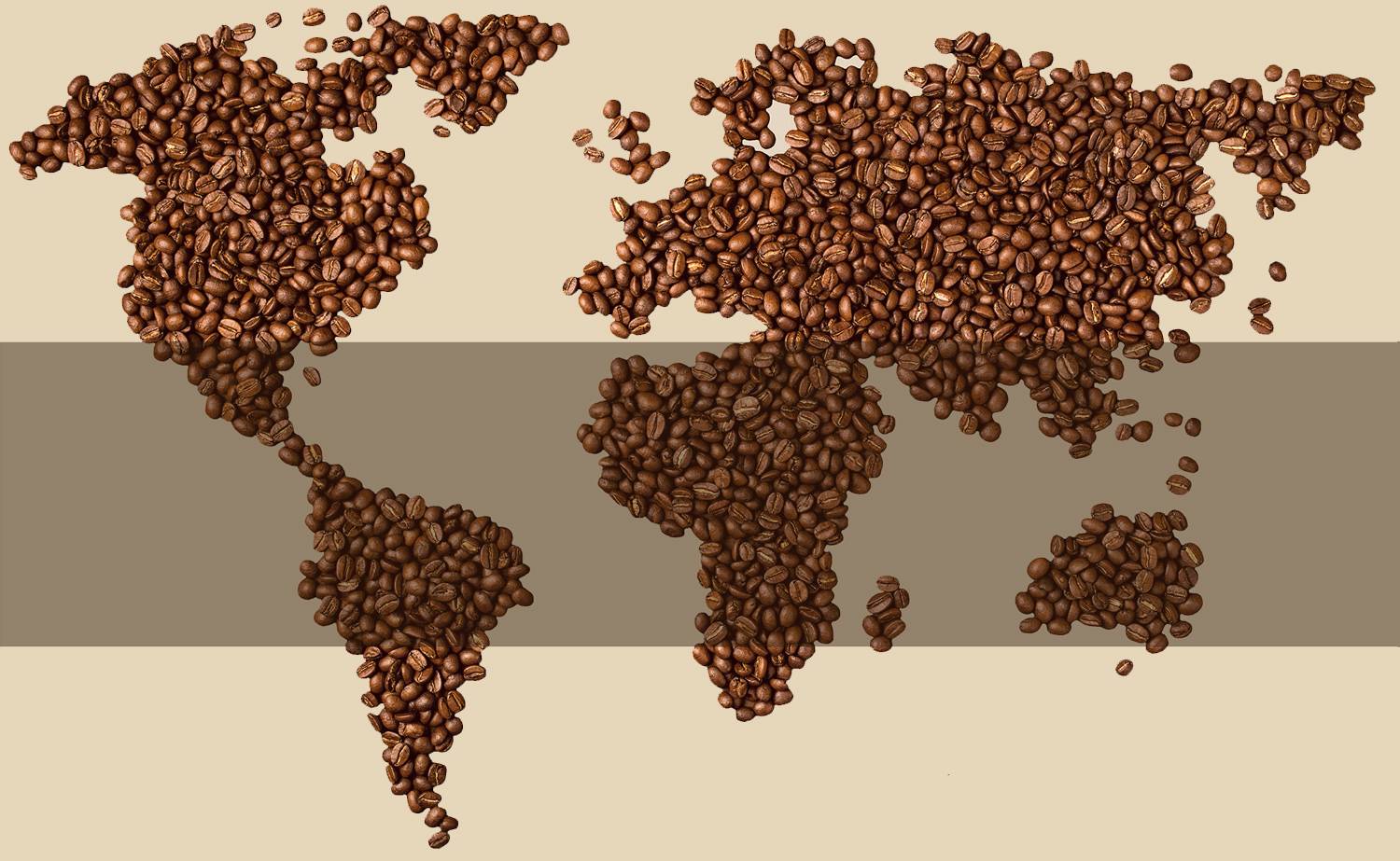 Где выращивают кофе в мире и как оно растет, родина кофе