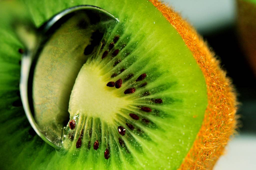 Польза киви — 11 доказанных свойств фрукта для организма человека, а также противопоказания