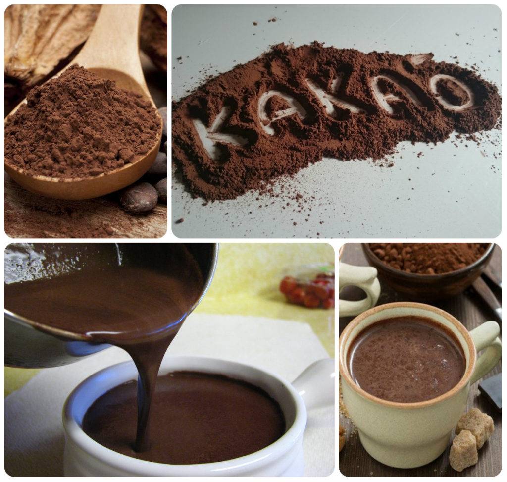 Какао: вред и польза для здоровья, особенности влияния на организм