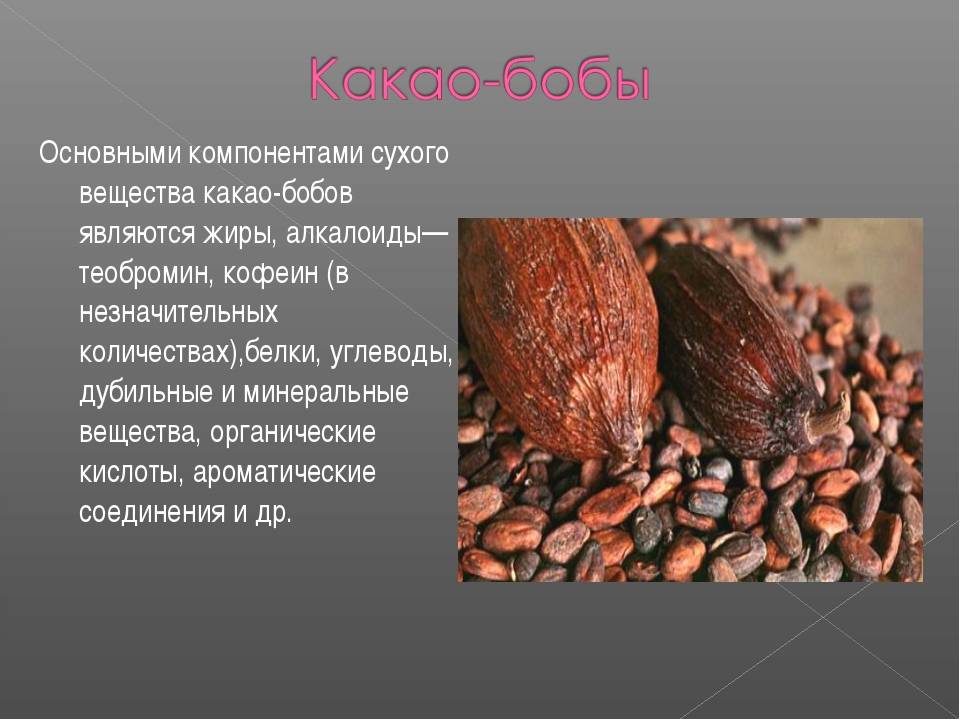Чем полезен какао порошок для здоровья женщин и мужчин, свойства, напитки с молоком и противопоказания