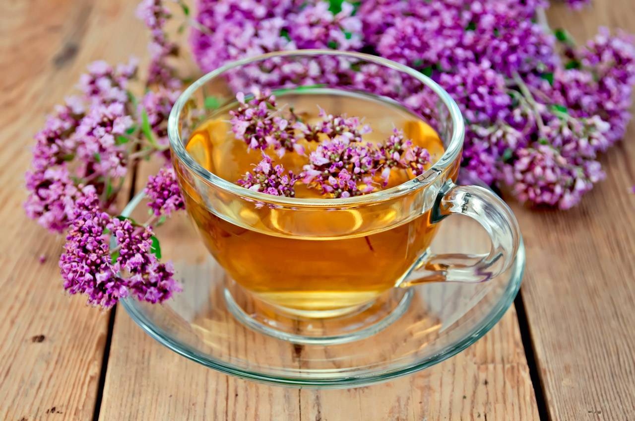 Чай с тимьяном: полезные свойства и рецепты приготовления напитка