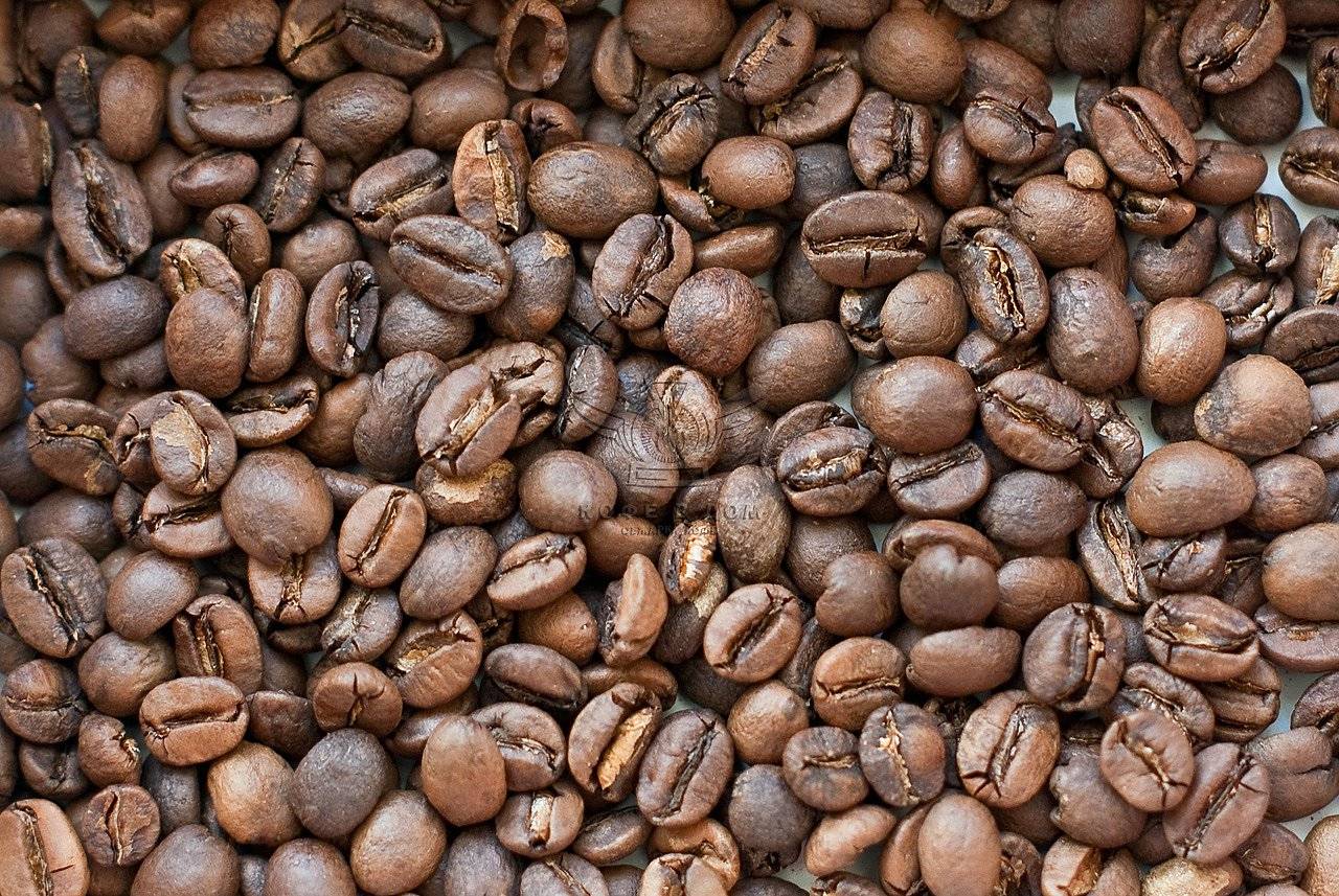 Вкусовые особенности кофе разных стран | все о кофе