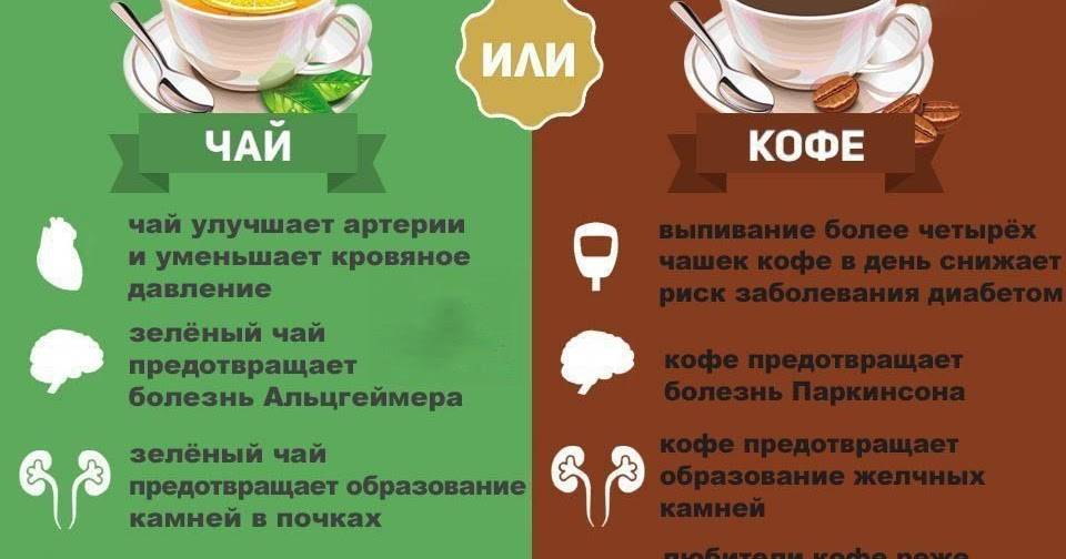 Кофеин в зеленом чае: нормы потребления, эффект и возможный вред