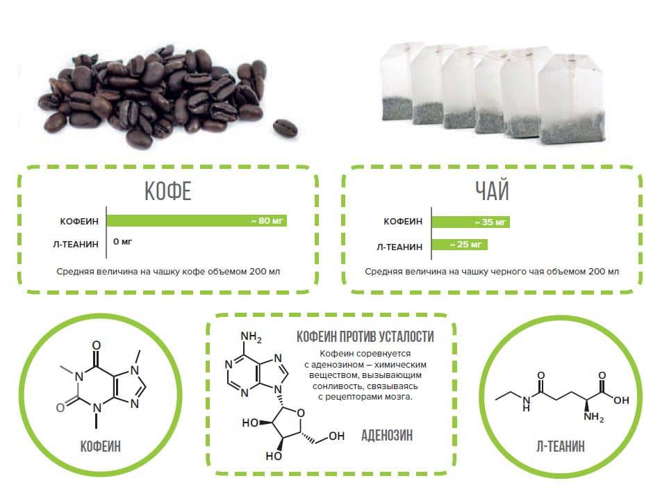 Кофеин и кофе: польза и вред, применение, действие на организм