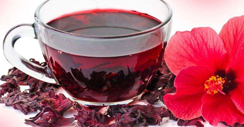 Чай каркаде - полезные свойства и противопоказания, как правильно заваривать и пить