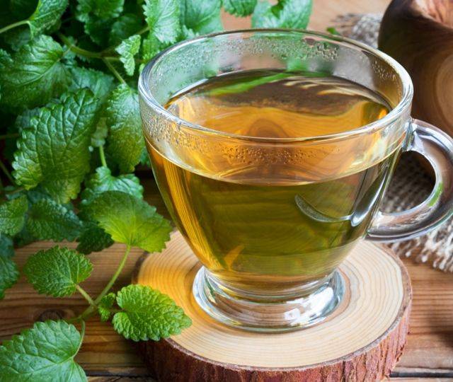 Зеленый чай с мелиссой: польза и вред