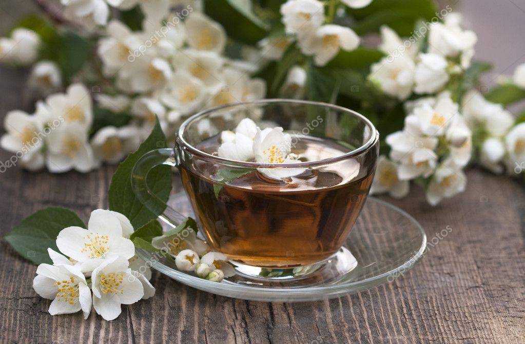 Чай с жасмином, польза и вред