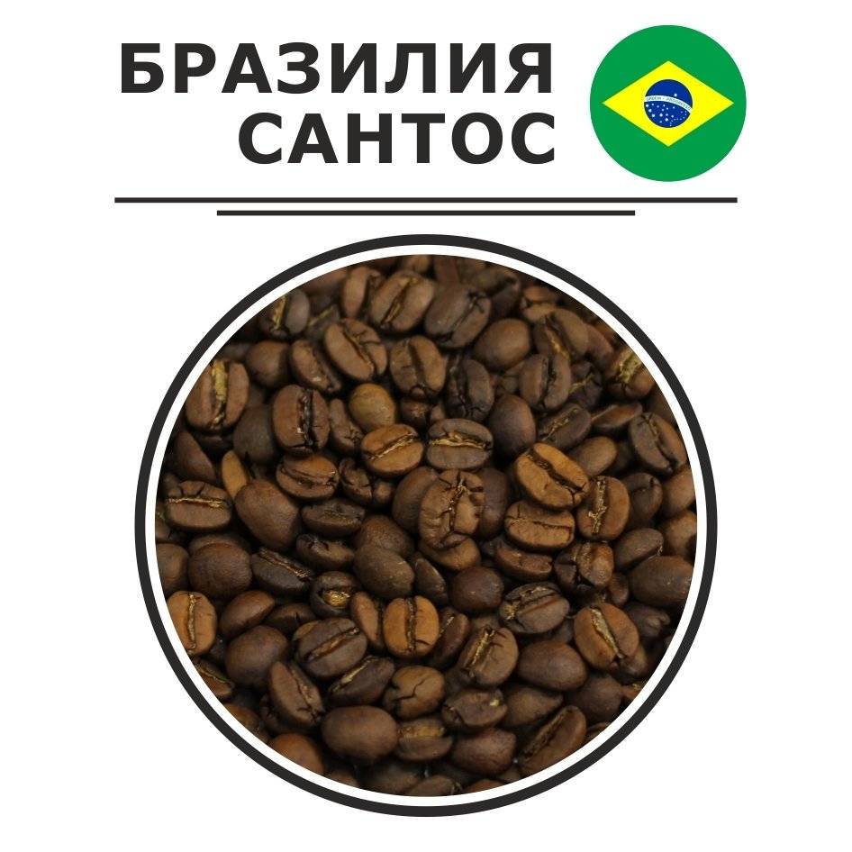 Бразильский кофе и его легенда, сорта, характеристики
