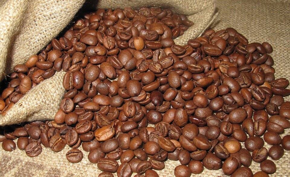 Кофе из замбии: новый и горячий африканский хит