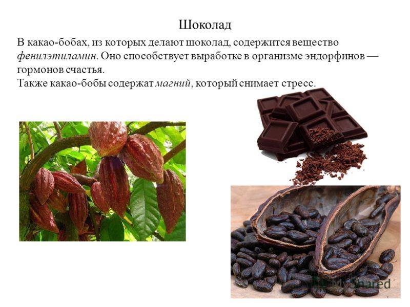 Тертое какао – что это и чем отличается от какао-порошка